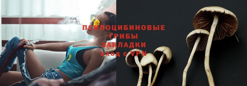 Псилоцибиновые грибы Psilocybine cubensis Нижняя Салда